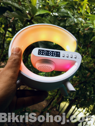 mini speaker